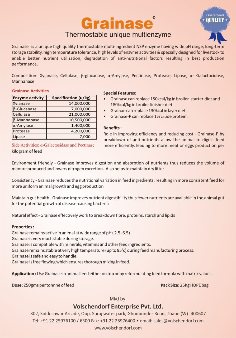 Grainase P detail view